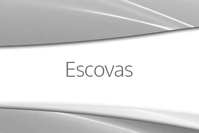 Escovas